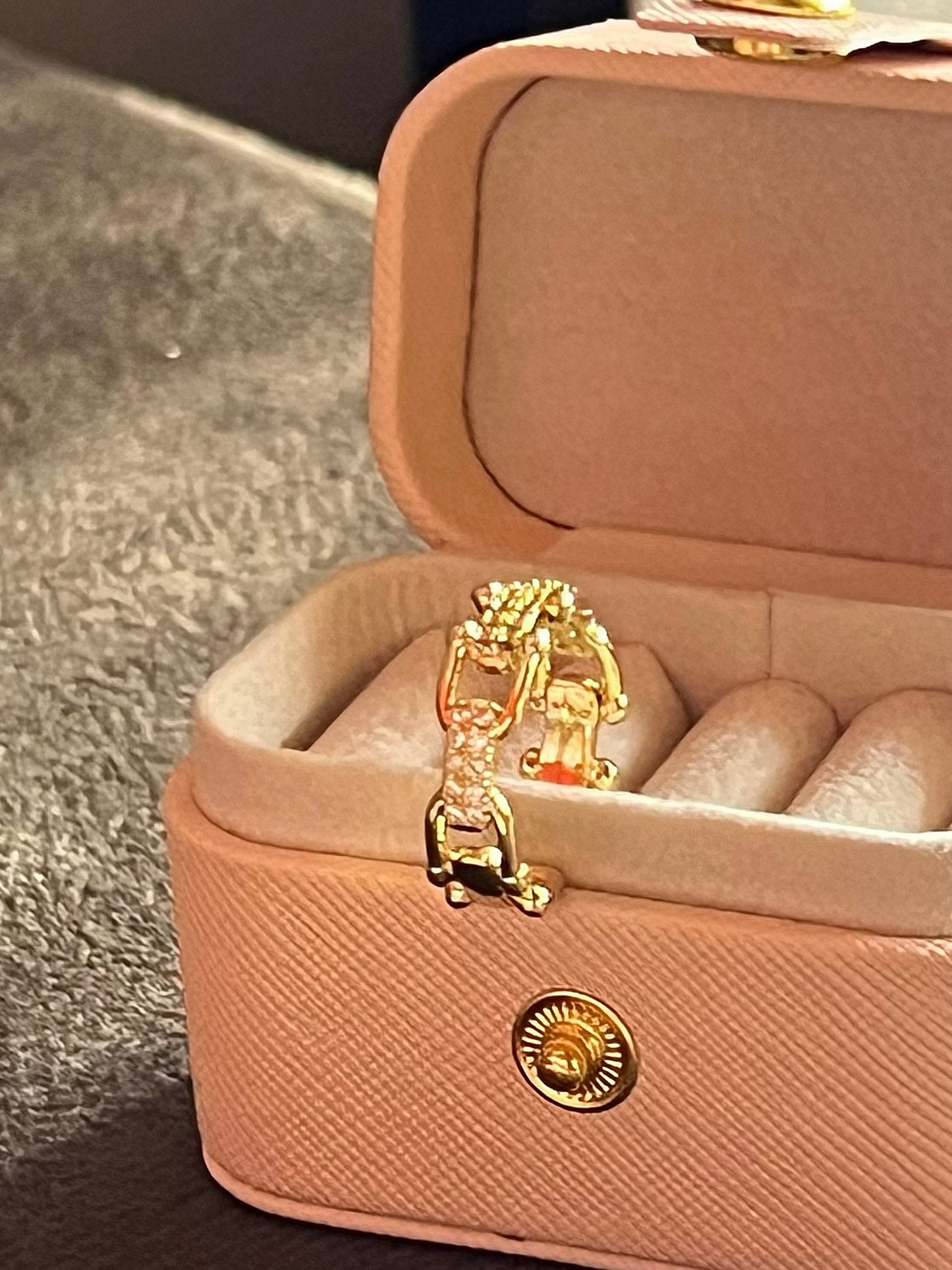 Anillo eslabones y brillo