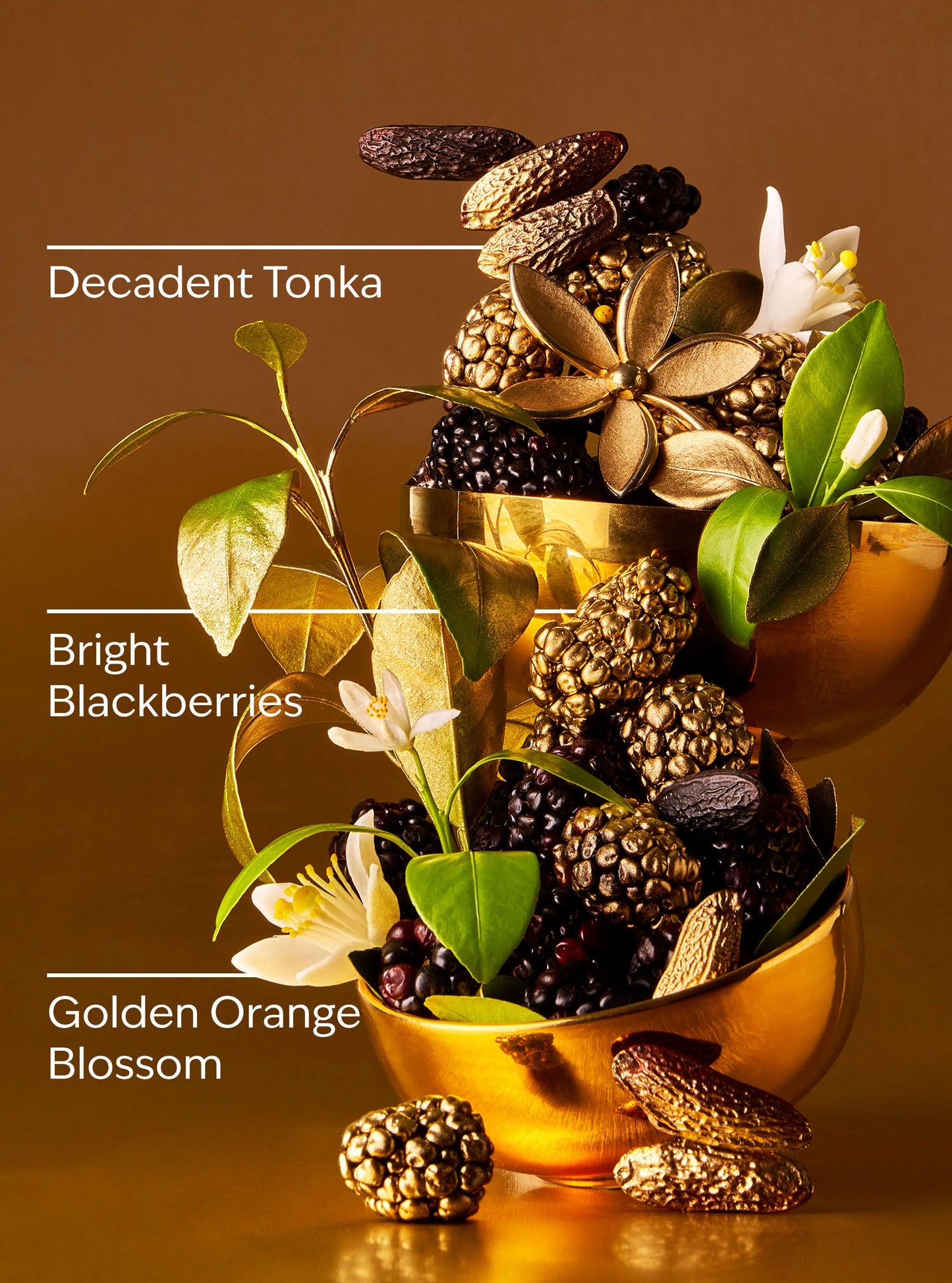 Touch of Gold - Vela